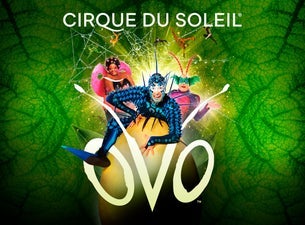 image of Cirque du Soleil: OVO