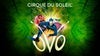 Cirque du Soleil: OVO