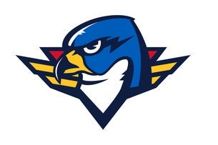 Springfield Thunderbirds vs. Providence Bruins Tickets Apr 14, 2024