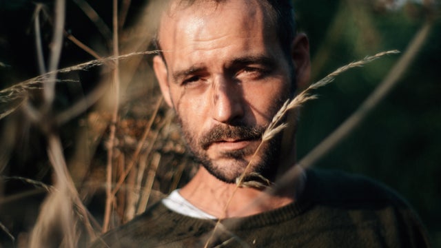 Roo Panes
