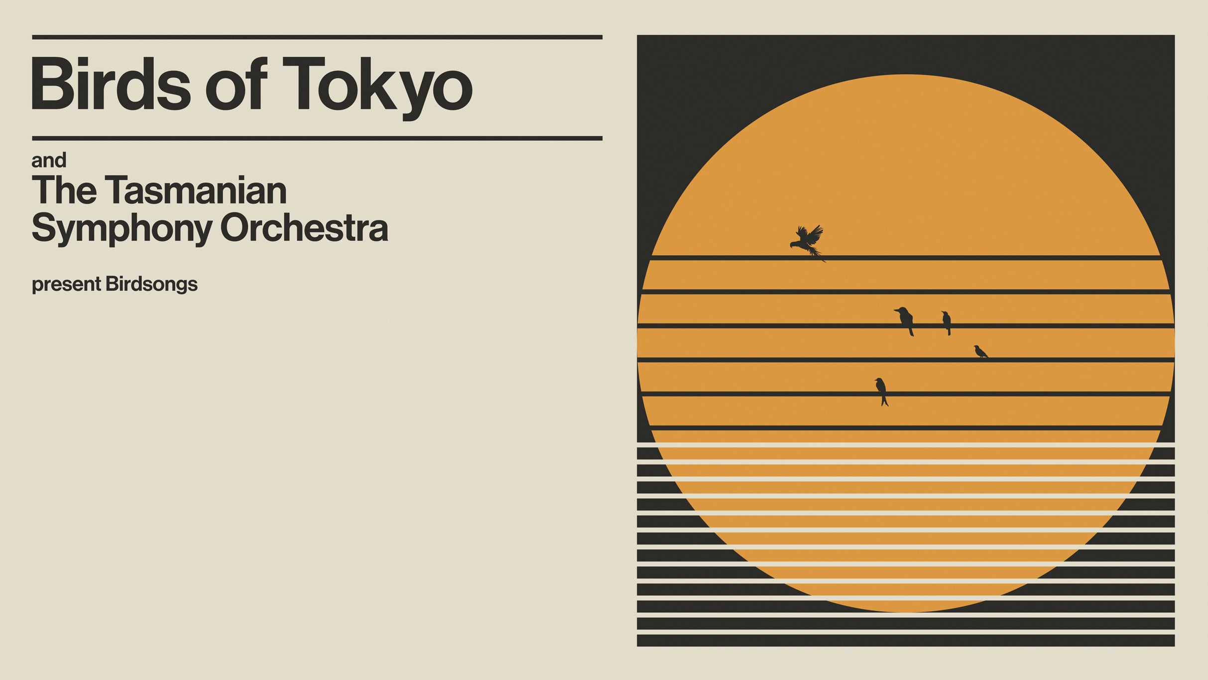 Image used with permission from Ticketmaster | Birdsongs: featuring Birds of Tokyo & Tasmanian Symphony Orchestra tickets