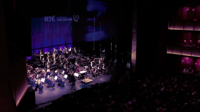 Marty In the Evening with the Rte Concert Orchestra in Bord Gais Energy Theatre, Dublin 26/06/2024