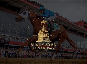 Black Eyed Susan Day