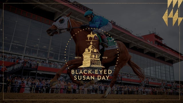 Black Eyed Susan Day