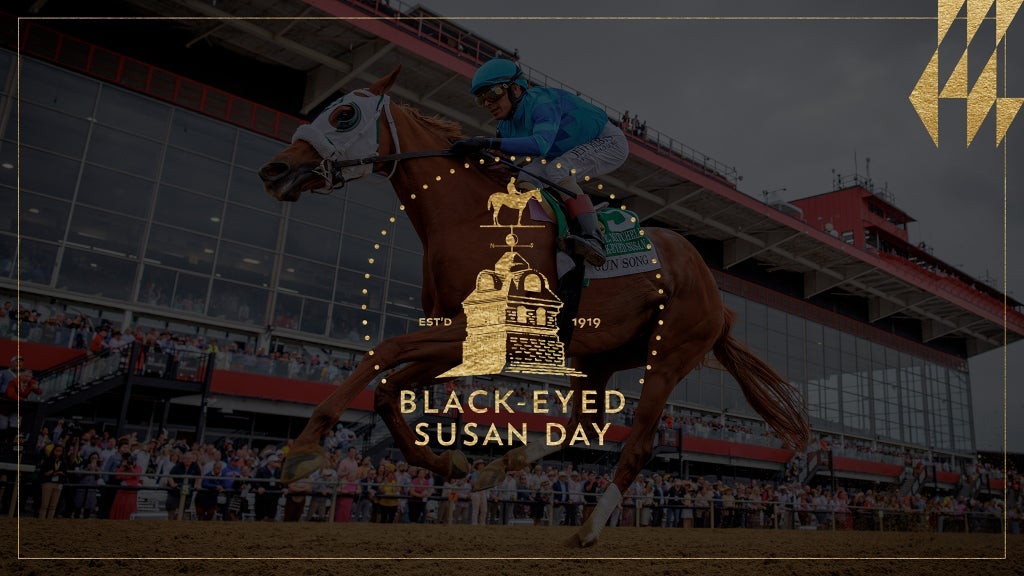 Hotels near Black Eyed Susan Day Events