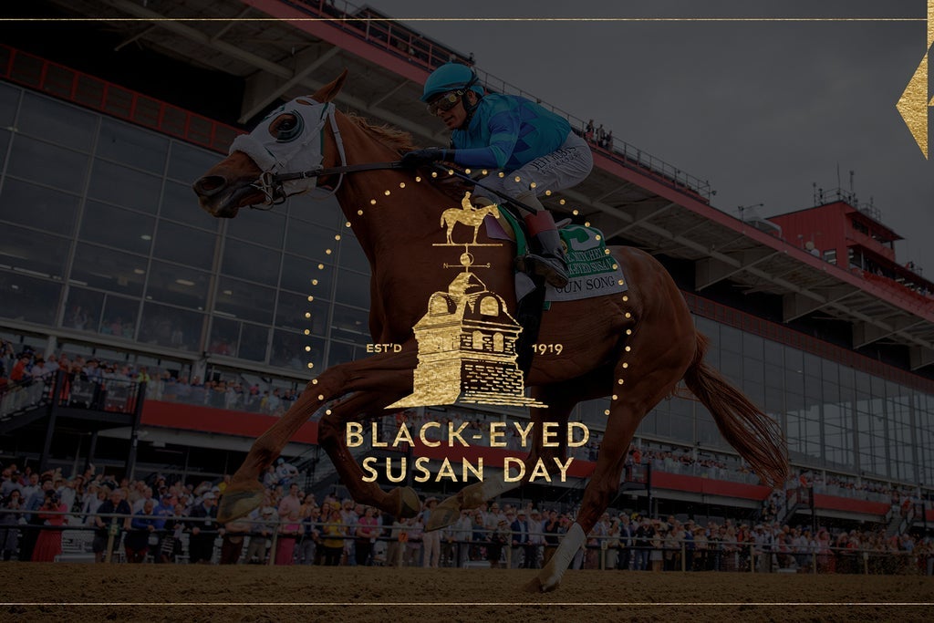 Black Eyed Susan Day