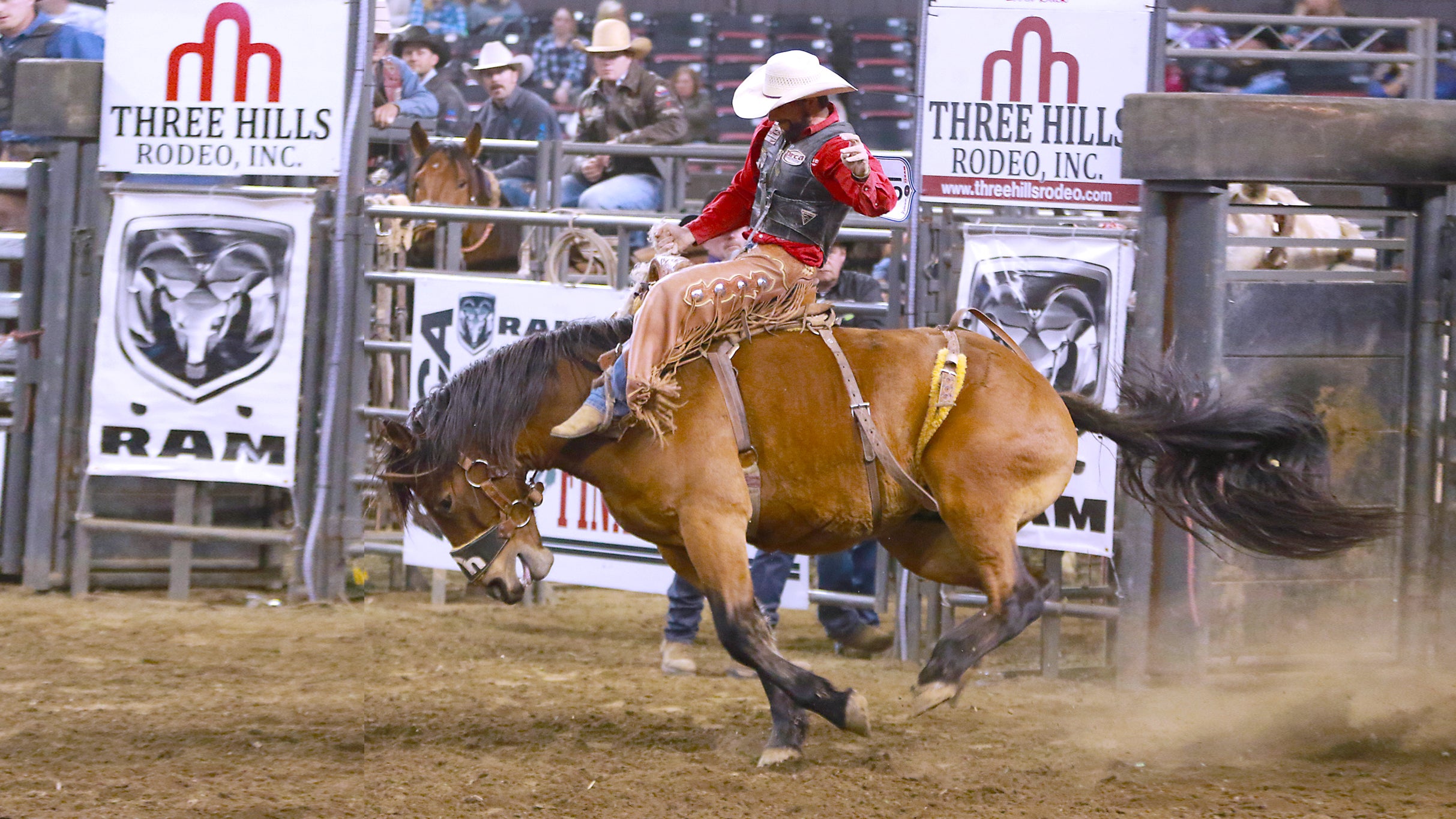 North American Championship Rodeo at Freedom Hall – Louisville, KY