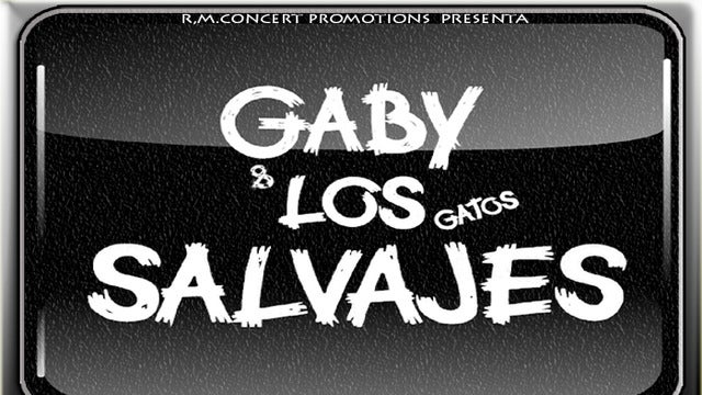 Gaby y los Gatos Salvajes