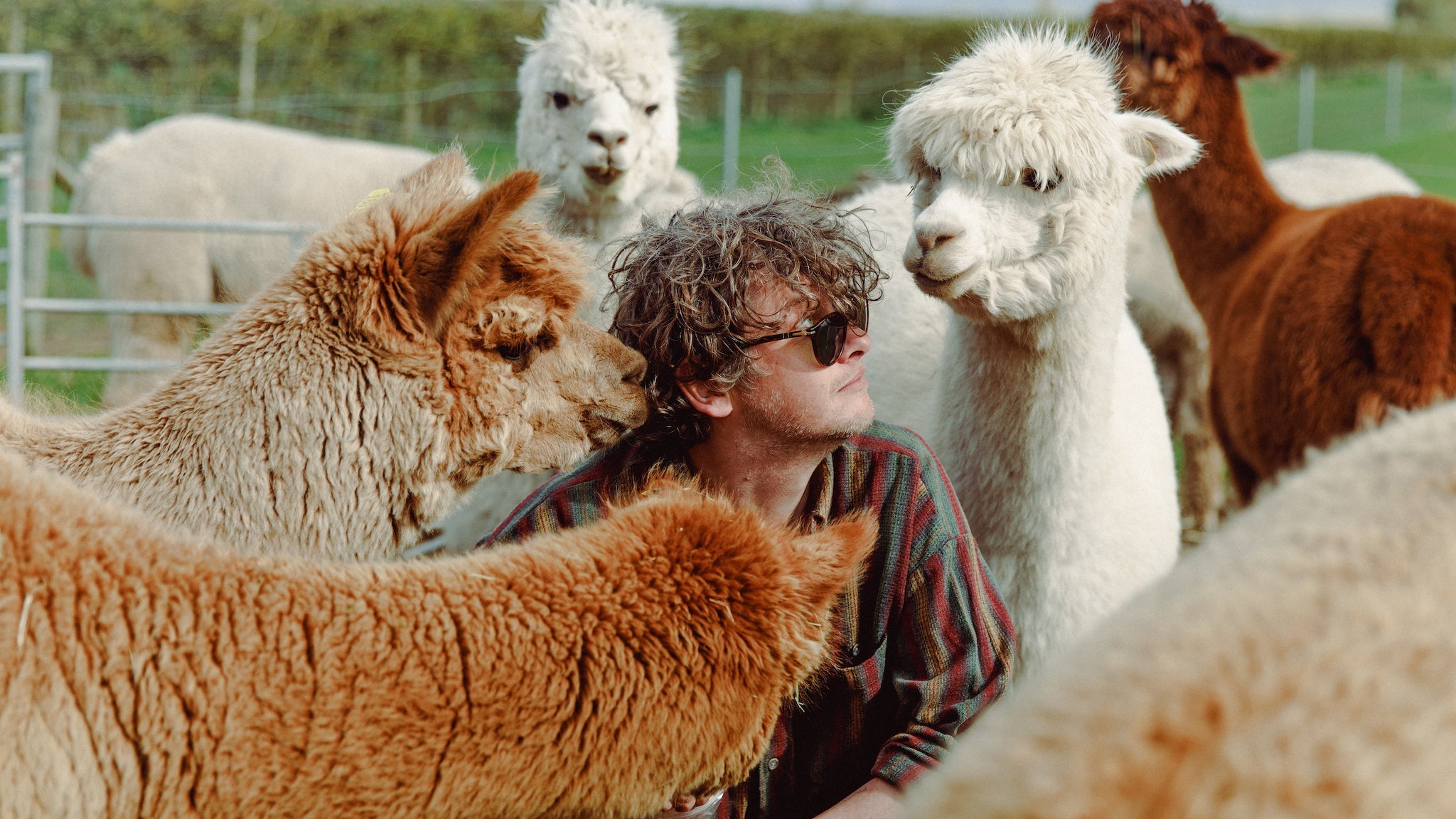 BILL RYDER-JONES