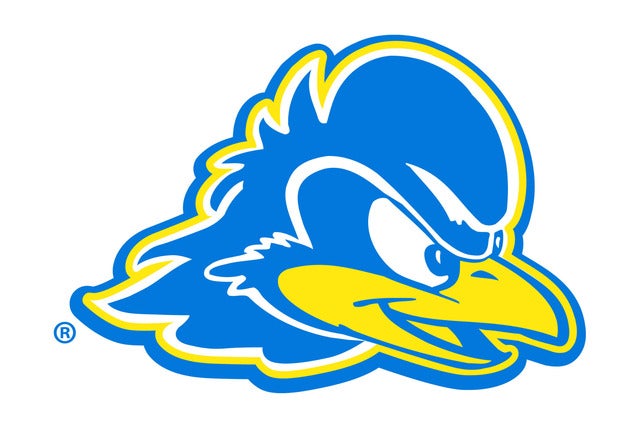University of Delaware Blue Hens Womens Basketball