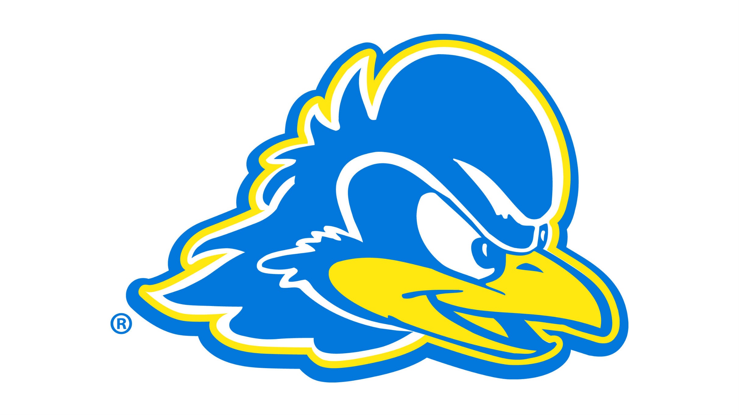 University of Delaware Blue Hens Womens Basketball
