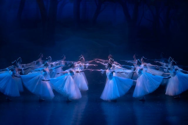 Presale codes for giselle: members use these when buying pre-sale tickets