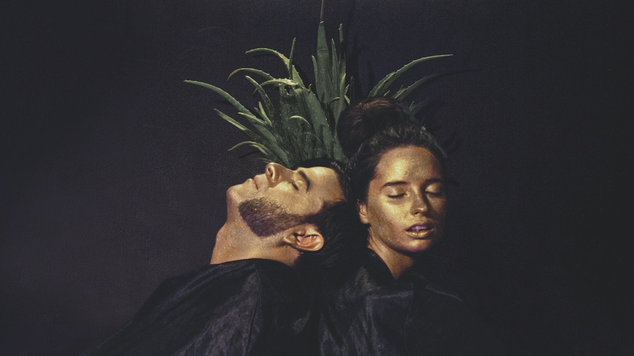 Dame Area + Telaraña – 2026-04-10