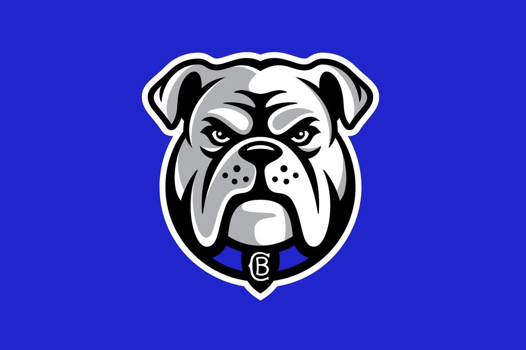 2026 NRL Telstra Premiership Bulldogs v Storm (Round 12)