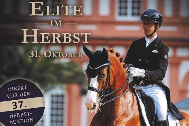 37. Herbstauktion - Elite im Herbst & Masterclass mit Benjamin WerndI
