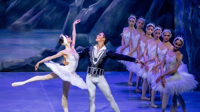 Swanlake The International ballet company Berlin