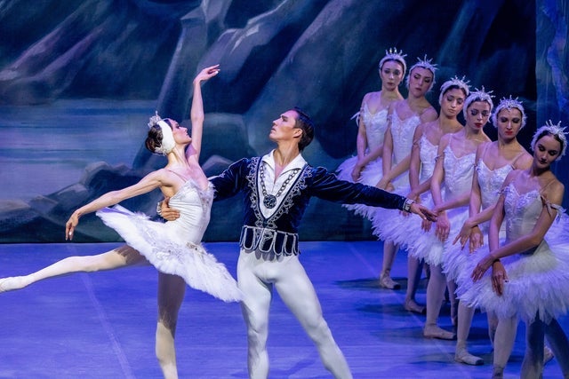 Presale codes for swan lake: members use these when buying pre-sale tickets