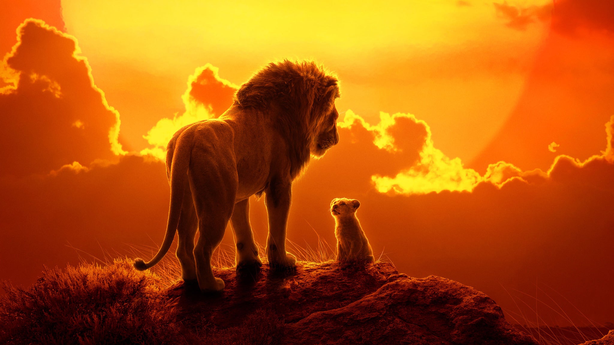 download lion king musical ticketmaster