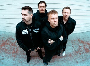 Siamese, 2025-10-19, London