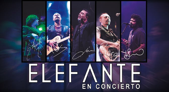 Elefante