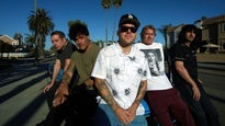 The Bronx, Voodoo Glow Skulls, Strawberry Fuzz, Plague Vendor, Gottleib, Mrs Magician, Plug Uglies, LA Misfits