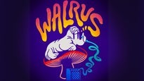 Walrus