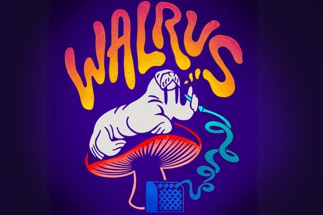 Walrus hero