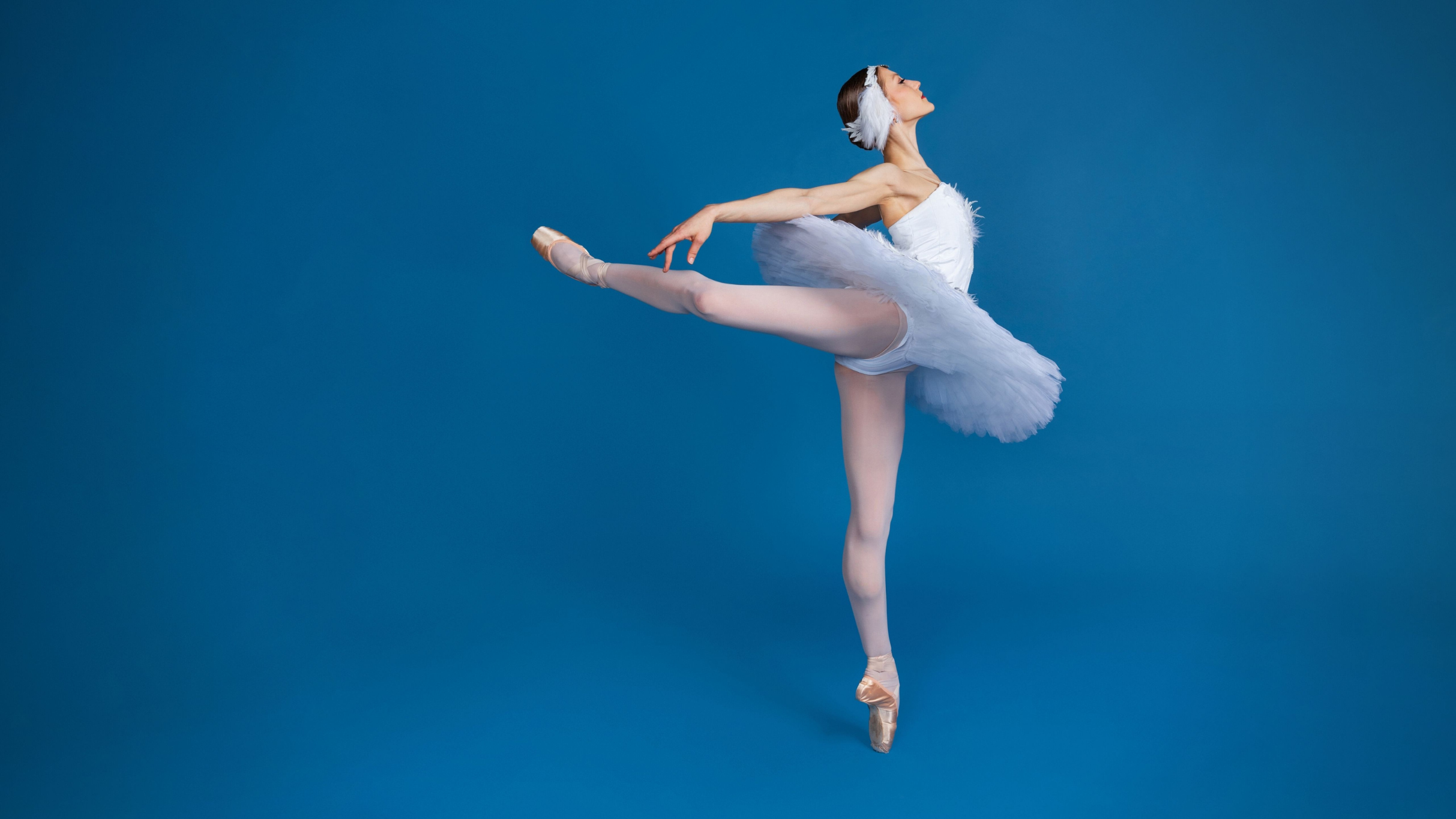 Swan Lake by Ballet Arkansas in Little Rock promo photo for Family 4 Pack presale offer code