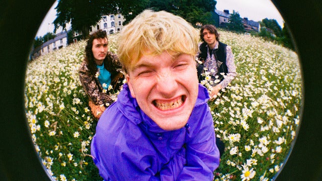 The Love Buzz