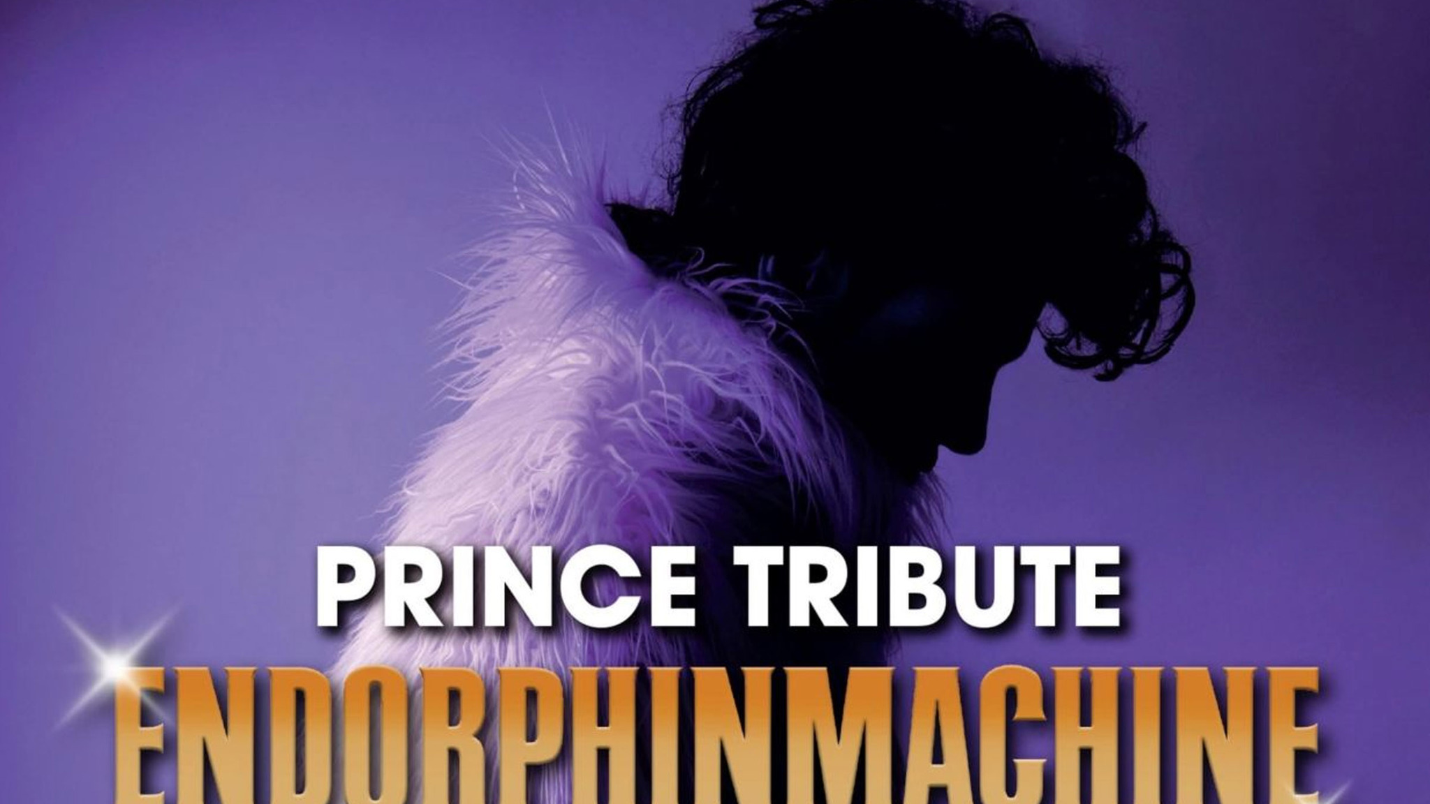 Endorphinmachine FT Jolan - Prince Tribute