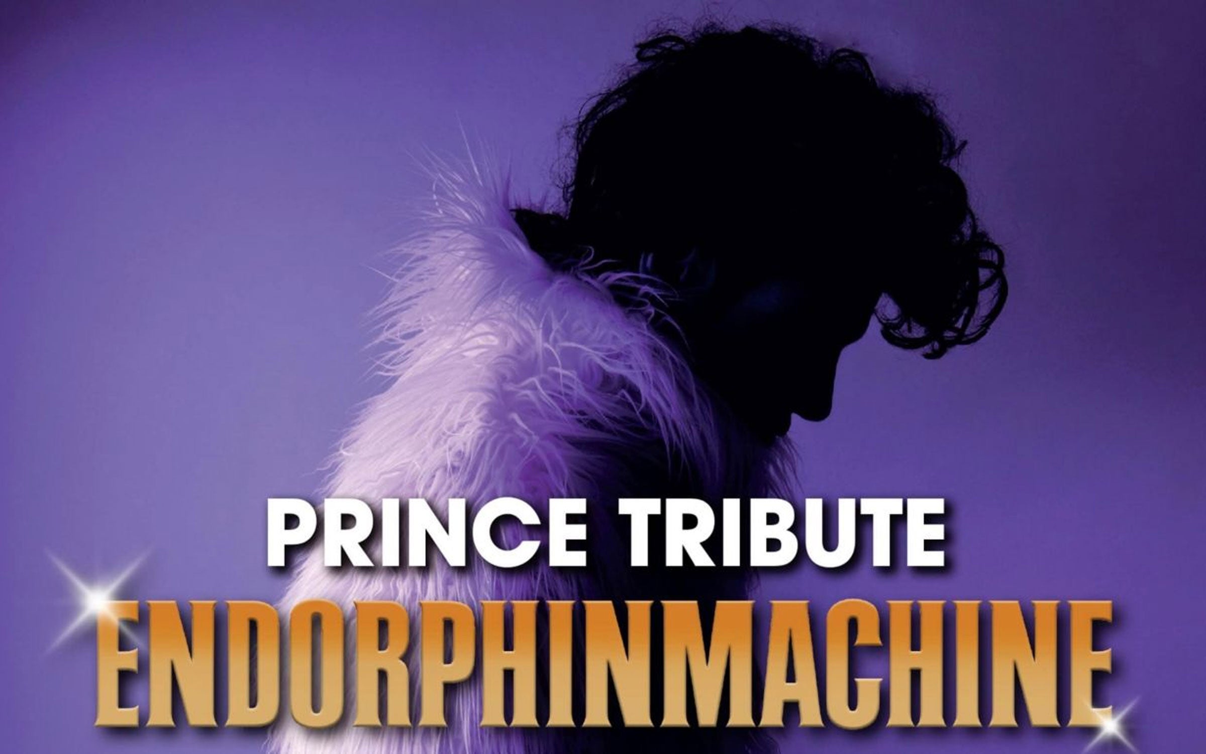 Prince Tribute... Endorphinmachine Event Title Pic