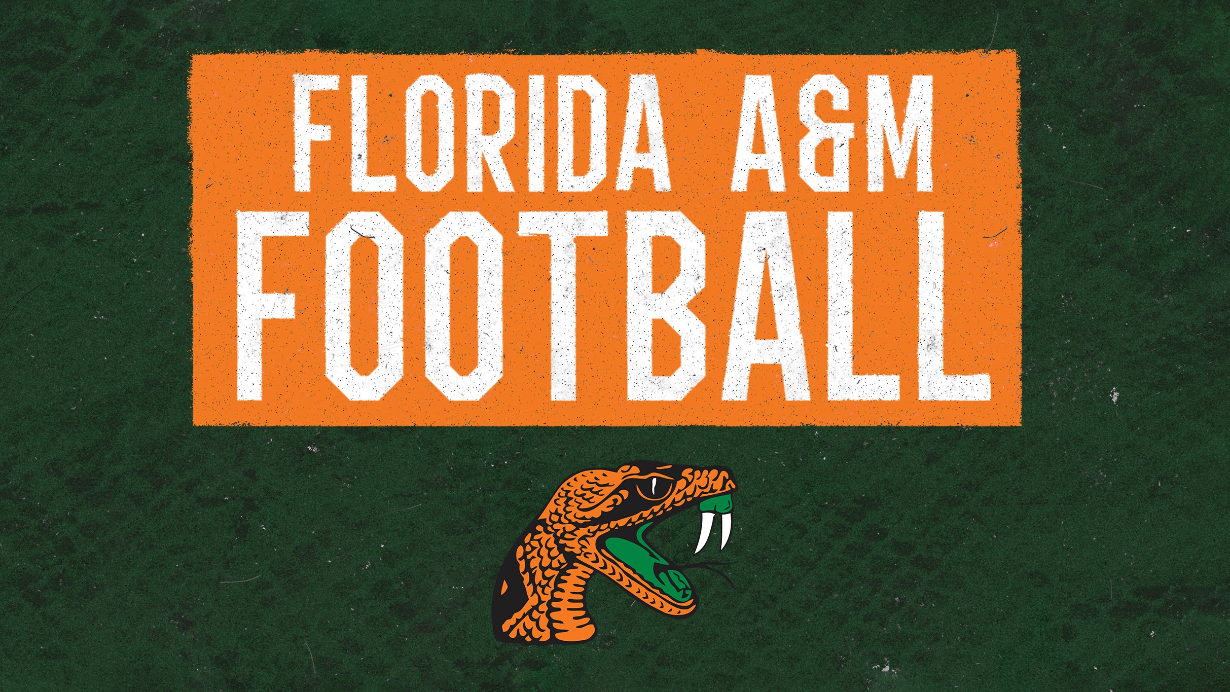 Florida A&M Rattlers vs. Mississippi Valley Delta Devils Football hero