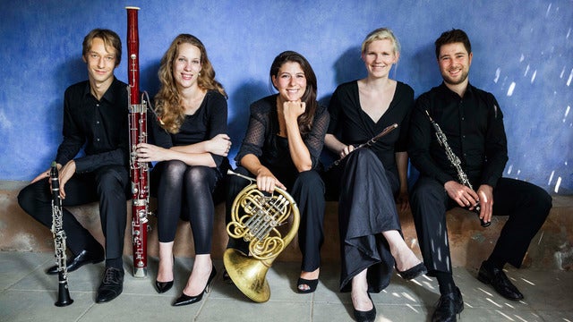 Acelga Quintett