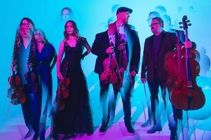 Vitamin String Quartet