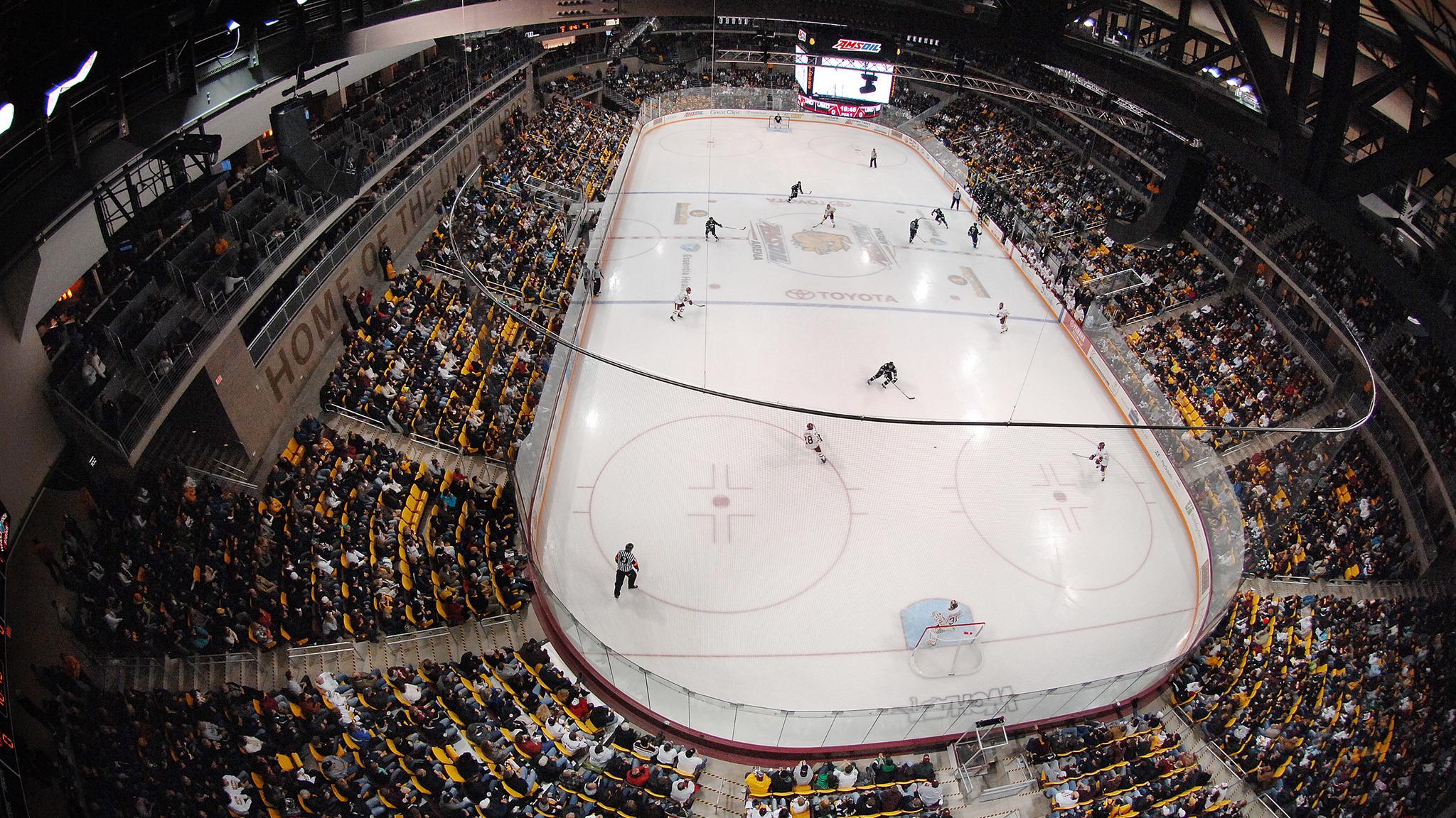 Mariucci Arena Seating Chart