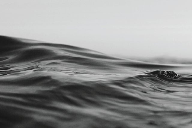 Presales to nz opera: members use these when buying pre-sale tickets