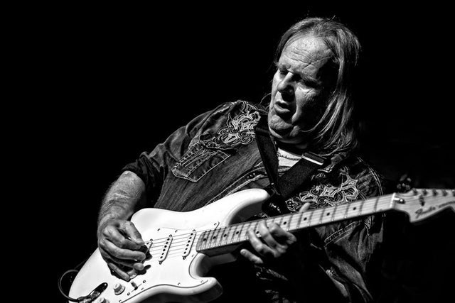 Presales to walter trout: members use these when buying pre-sale tickets