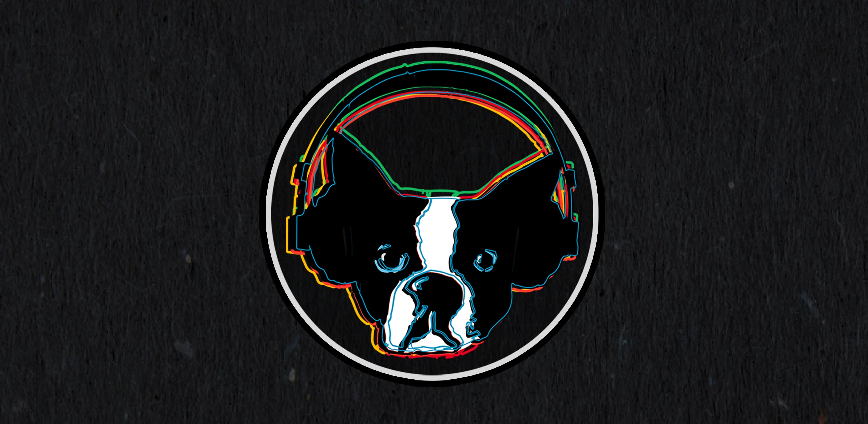 Snarky Puppy