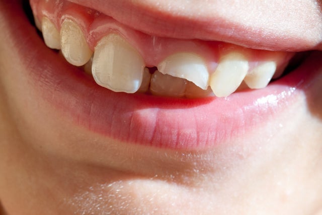 presale code for Swimming Paul presale tickets in Manchester -  (Manchester Gorilla)