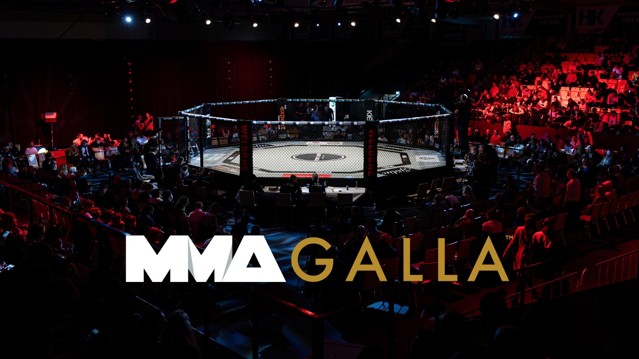 MMA GALLA Vol. 33