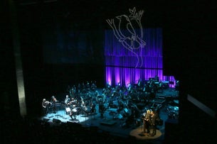 RTE Concert Orchestra performs Leonard Cohen