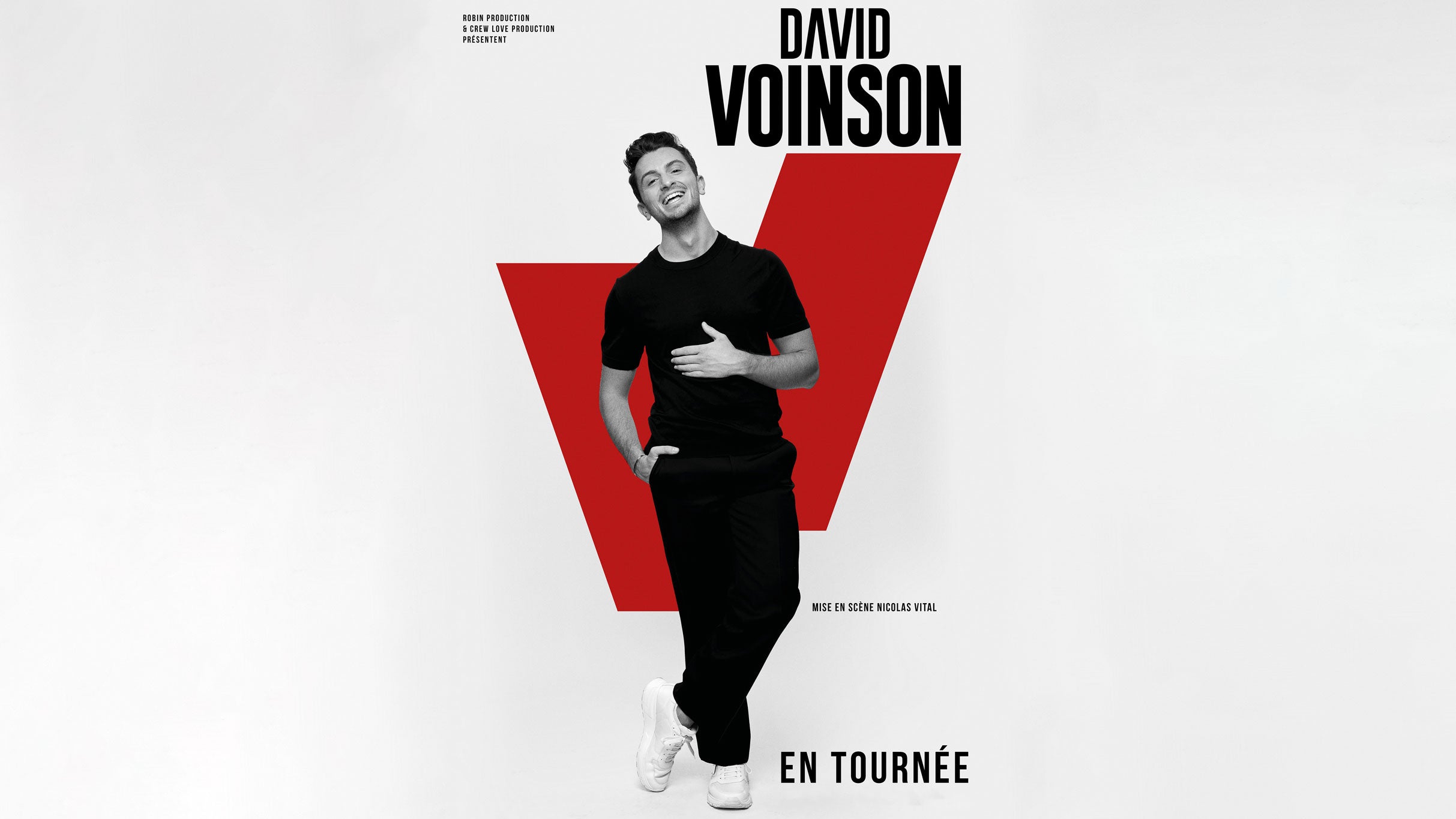 DAVID VOINSON Le 19 mars 2025