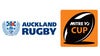 2020 Auckland Mitre 10 Cup - Auckland v Waikato