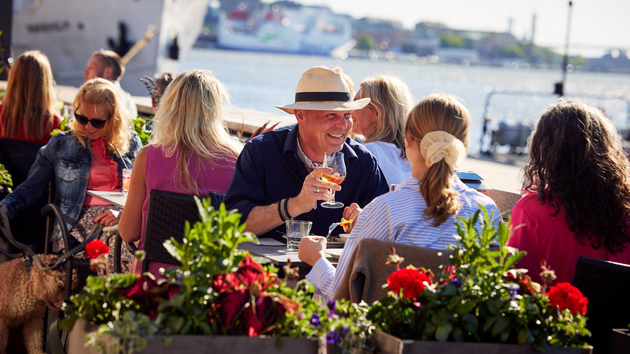 Arvingarna sjunger visor & klassiker