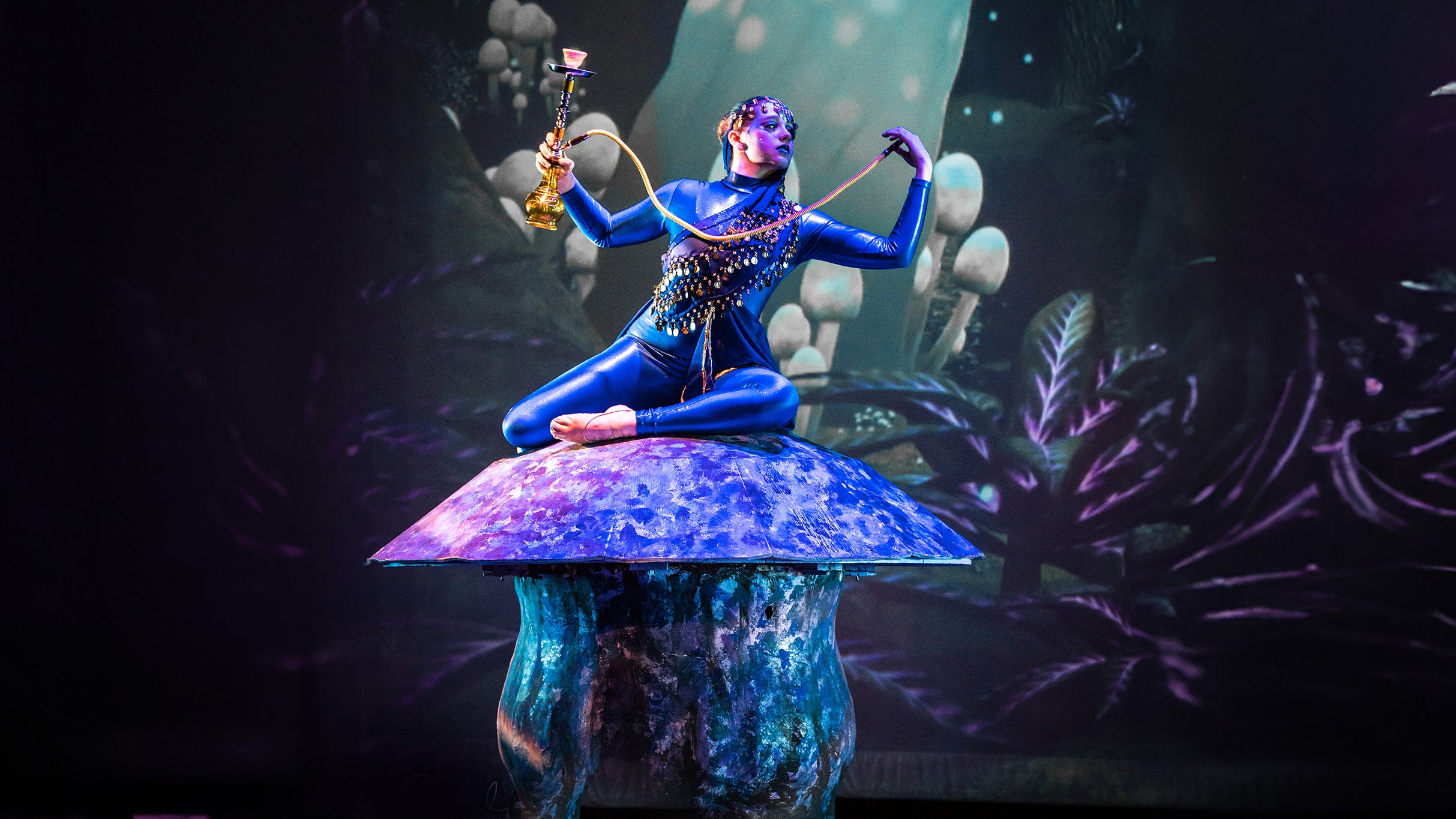 Alice: A Revolutionary Ballet at Bijou Theatre – Knoxville, TN