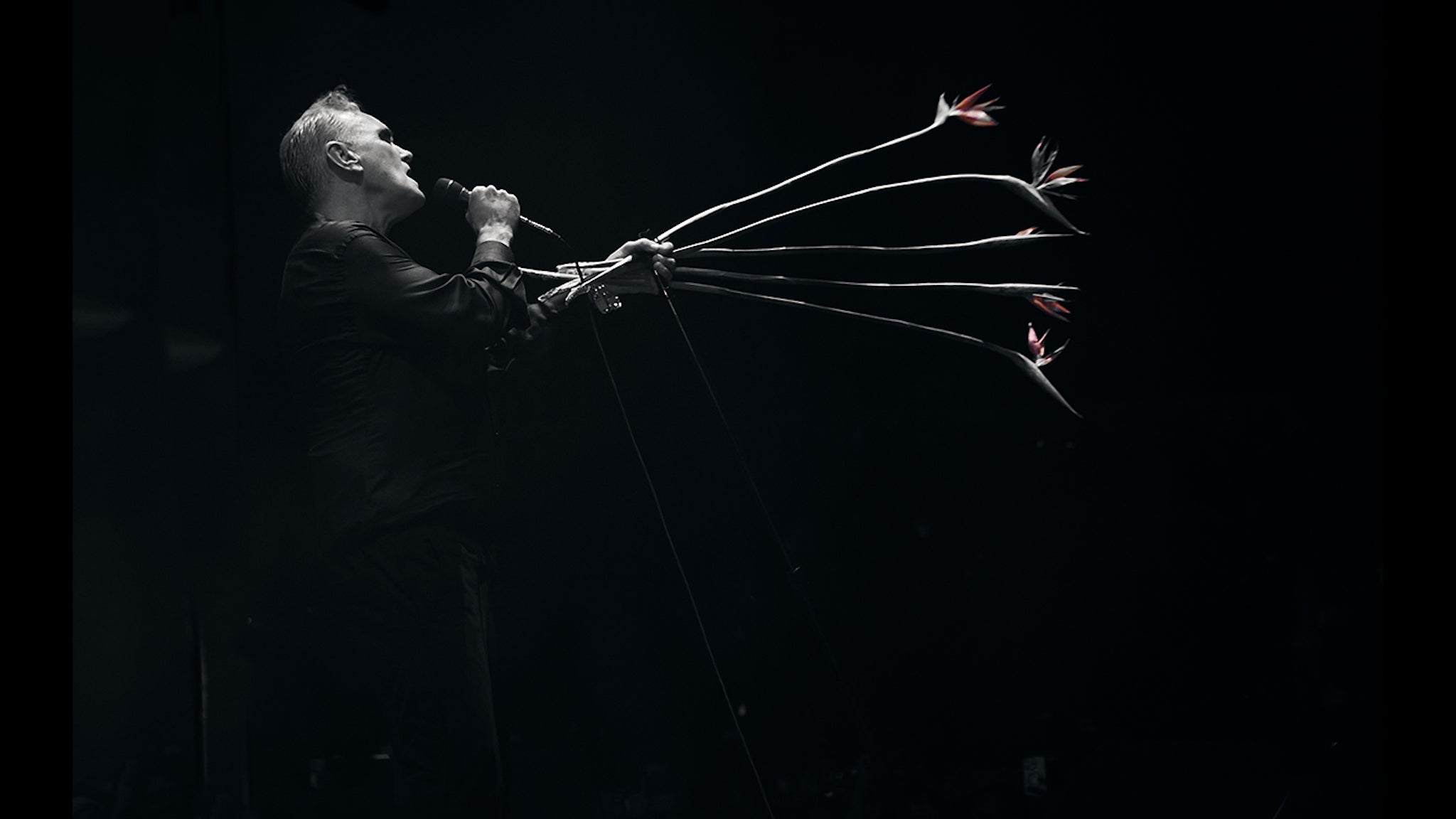 Morrissey