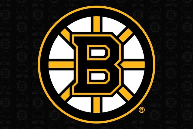 Boston Bruins hero