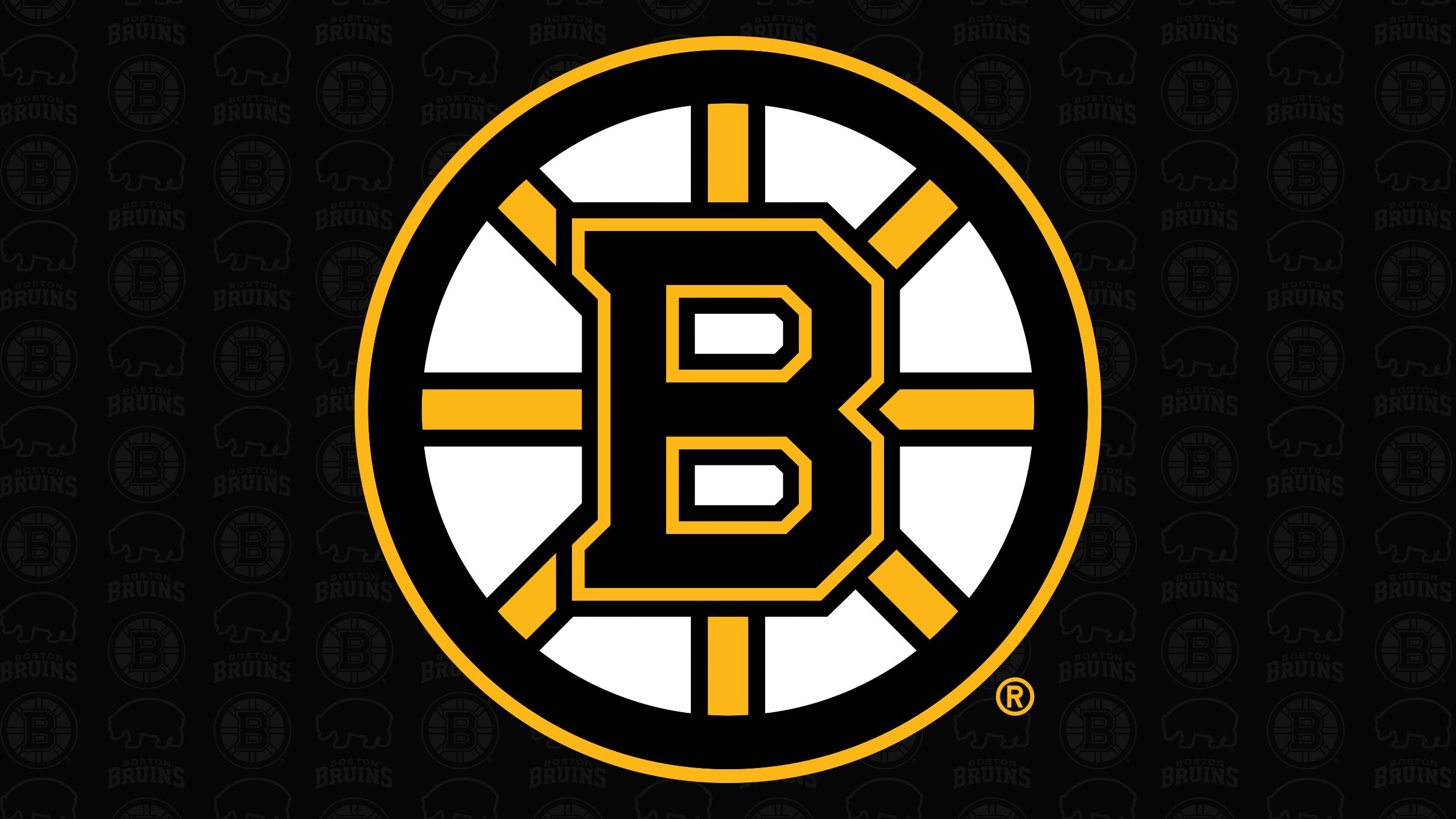 Boston Bruins vs. Montreal Canadiens at TD Garden – Boston, MA