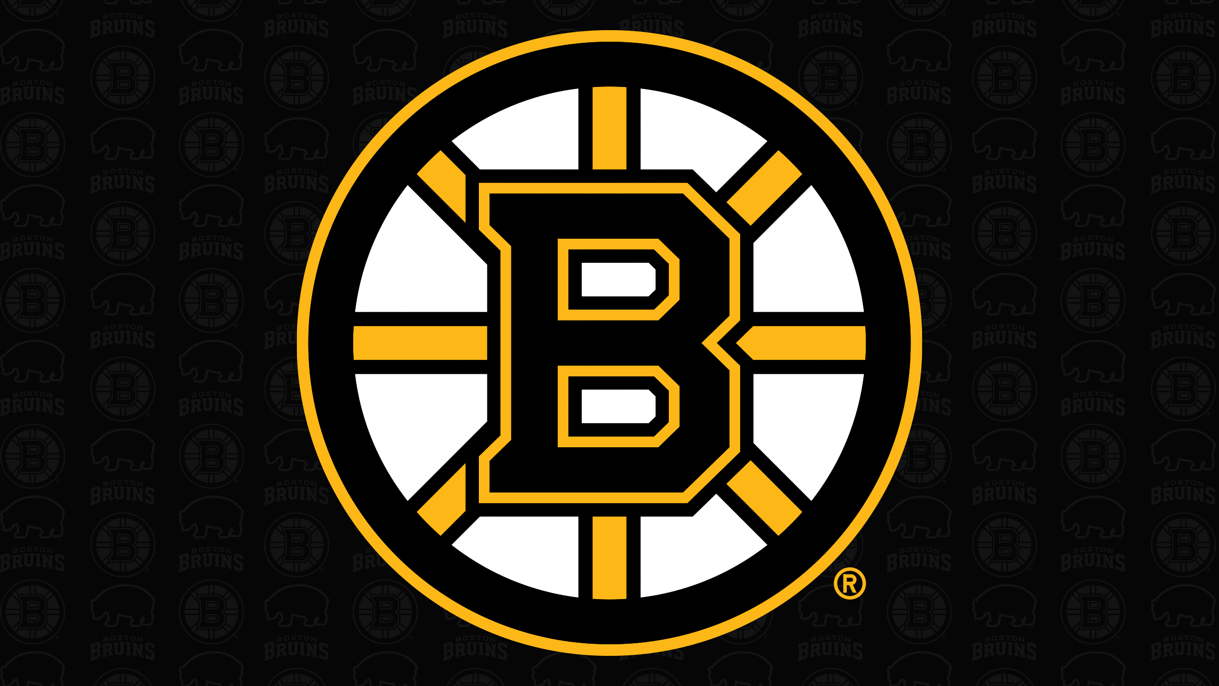 Boston Bruins