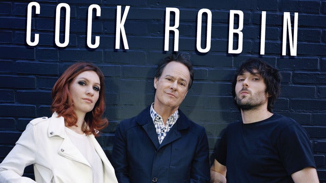 Visuel du concert : Cock Robin